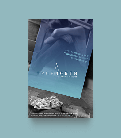Project: True North Poster Design
